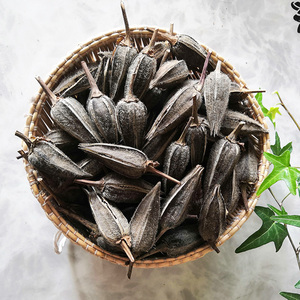 金花葵果茶果实干荚半斤250克箭叶秋葵茶秋容葵茶黄蜀葵药材正品