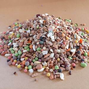 年冠保健砂金冠全矿素鸽子赛鸽红矿石保健砂鸽用食槽补充矿物质鸽