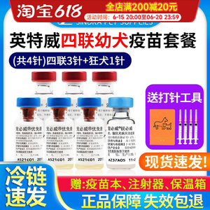 英特威狂犬疫苗狗狗