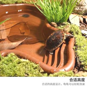 家用乌龟超大泡澡盆塑胶鱼缸造景摆件陆龟半水龟爬虫宠物饲养水盆
