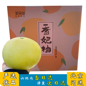 香妃柚圣甲虫蜜柚广西白心白肉黄柚子孕妇新鲜应季时令当季水果