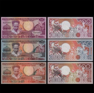 美洲 苏里南纸钞250 外国钱币 外币