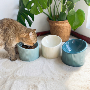 花瓣猫碗陶瓷高脚猫粮碗宠物斜口喝水碗保护颈椎大脸猫咪零食饭碗
