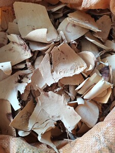 野生潮汕青草药根白鱼刺根筋白骨刺根筋鱼骨刺根500克中草药材