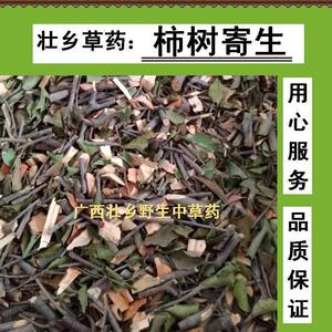 00寂寞的大海66淘宝野生柿子树苗 软枣 黑枣 君迁子树苗 实生山桃