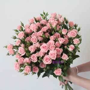 水养鲜花多头月季蔷薇温柔水晶浪漫爱人多头玫瑰家庭办公室插花