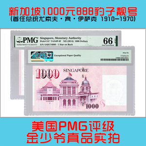 新加坡1000元