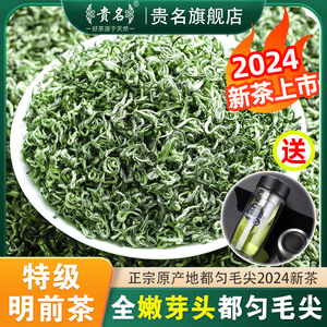 贵州都匀毛尖茶2024年新茶特级绿茶明前春茶手工茶叶礼盒装250g