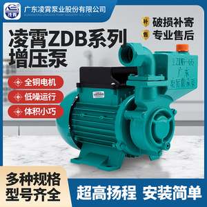广东凌霄水泵增压泵家用全自动抽水井自来水管道加压1ZDB65型水泵