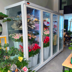 雪锐龙鲜花柜双门冰柜三面玻璃鲜花冷藏展示柜花店风冷吧台保鲜柜