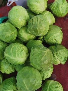 崇明农家露天自种新鲜卷心菜包菜牛心菜甘蓝应季蔬菜现摘现发5斤