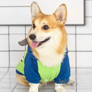 婉蔓柯基宠物 大眼仔棉衣柯基衣服秋冬款保暖衣双层加厚狗狗衣服