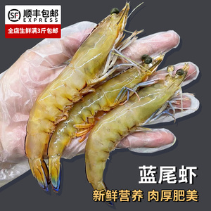 蓝尾虾金须海虾新鲜鲜活斑节虾白对虾刺身醉虾海鲜食用冷冻水产