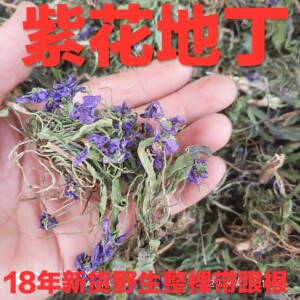中药材野生紫花地丁整棵带根苦地丁草 新鲜干货 非同仁堂 500克