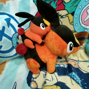 takara tomy口袋妖怪 小火猪 暖暖猪 毛绒公仔玩偶 可发声