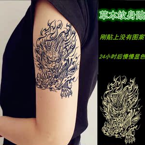 草本果汁麒麟貔貅穷奇花臂纹身贴防水持久男胸腿手臂仿刺青水贴纸