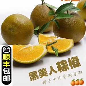 湖北秭归棕橙黑美人新鲜水果伦晚橙子棕色脐橙新品种水果9斤包邮