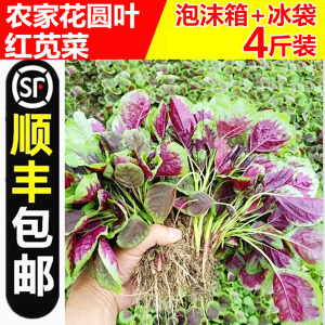 【顺丰包邮】红苋菜 汗菜 农家新鲜红圆叶紫汉菜野菜红米苋菜4斤