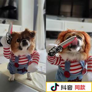 狗狗衣服抖音同款搞笑装可爱的搞怪服饰小猫咪泰迪比熊宠物衣服