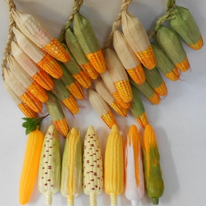 仿真玉米模型假水果蔬菜模型摆件塑料玉米摄影道具幼教塑料苞谷