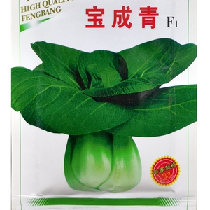 宝成青青菜种子七宝青菜小油菜矮青白梗束腰小白菜炒香菇20克50克