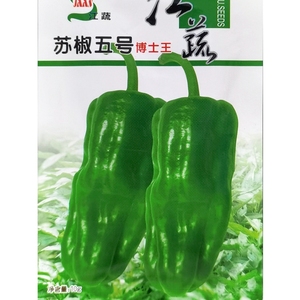 江蔬苏椒五号青椒种子博士王泡椒杂交辣椒薄皮微辣夏季播种籽10克