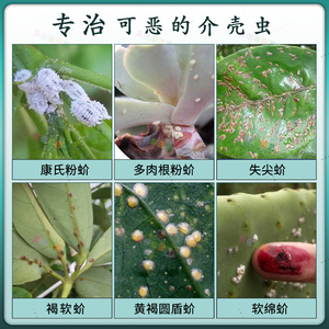 介壳虫蚧必治