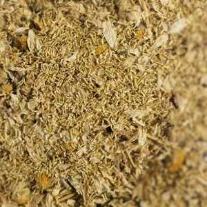 德国洋甘菊种子1000颗小雏菊四季播种开花洋甘菊种易活室内外盆栽