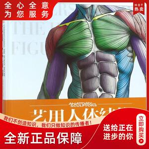 用人体结构(精)(拉脱)乌迪斯·扎林斯//桑迪斯·康德拉兹|译者:黄朝贵