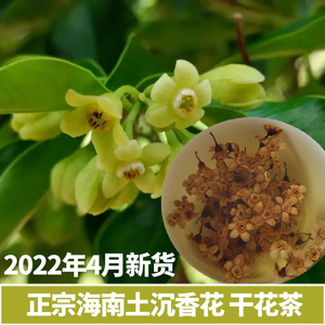 海南土沉香花茶正宗白木香花干奇楠沉香干花茶棋楠花茶代用养生茶