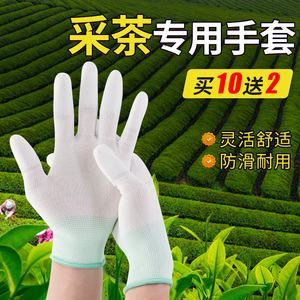 采茶手套女士干活专用劳保耐磨工作加厚耐用采摘农活防滑防割防刺