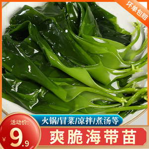 火锅海芽菜海带芽裙带菜海木耳海带苗海白菜火锅配菜食材小包装
