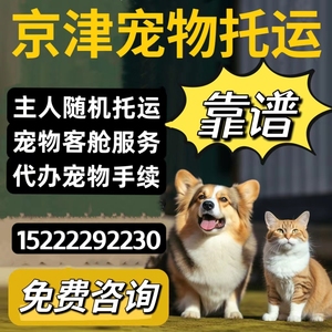 宠物托运服务全国空运检疫证进客舱猫狗随机手续天津北京上海成都