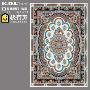 原装进口波斯地毯 450万针高密度花纹细腻高透气客厅卧室书房地毯