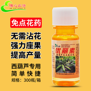 西葫芦专用免点花授粉药喷花蘸花药坐果王坐果灵座果坐瓜灵优丽素