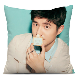 刘昊然抱枕头周边靠枕垫diy来图定制生日礼物品创意双面含芯订做