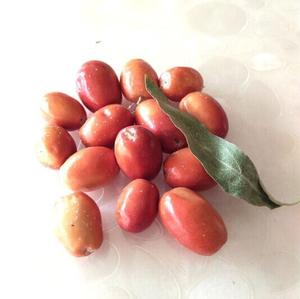 沙枣酒泉特产野生特级金骊商贸干果休闲零食蜜饯原味沙枣500g包邮