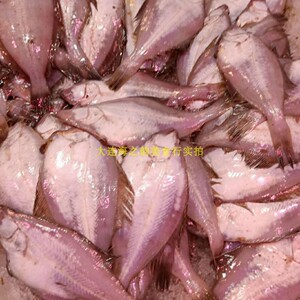 大连新鲜小偏口鱼3-4条小比目鱼煎炸偏口新鲜小鲽鱼鼓眼海鱼