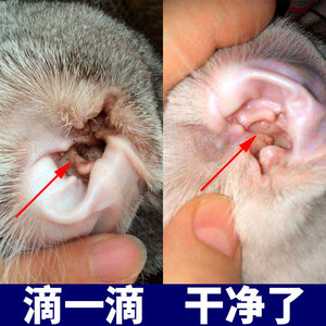 狗狗药除耳螨真菌滴耳液猫用耳朵清洁去消炎止痒宠物专用泰迪用品