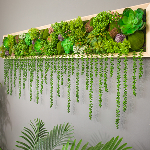 绿植挂墙
