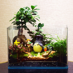 创意苔藓微景观玻璃缸微缩景观造景生态缸绿植盆景龙猫动物盆栽