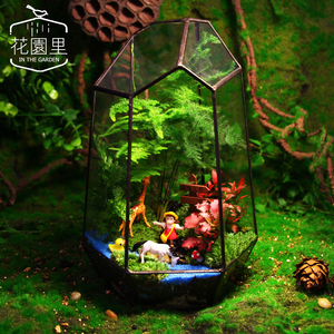 苔藓植物微景观生态瓶玻璃花房创意迷你绿植龙猫diy盆栽生日礼物