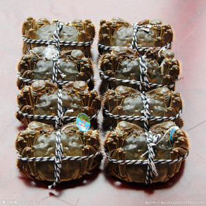 兰州老李海鲜 鲜活江苏大闸蟹(二两母蟹)