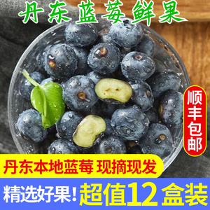 丹东蓝莓鲜果新鲜大蓝莓精品蓝莓当季水果孕妇宝宝辅食非野生蓝莓