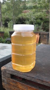 自然成熟蜜蜂酿造酸枣蜂蜜原蜜42度无添加1000g/2000g正蜂农自产