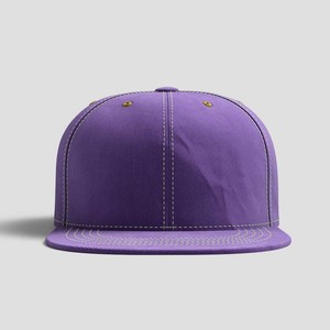 nba萨克拉门托国王篮球队同款平沿帽子定制sacramento kings cap