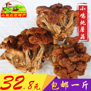 深山野生滑子菇 榛蘑 精选农家干滑子蘑滑子菇干货蘑菇 500g包邮