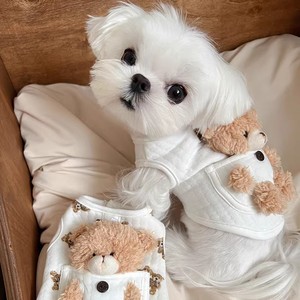 可牵引狗狗衣服秋冬装韩国ins可爱小型幼犬泰迪比熊博美冬天棉衣