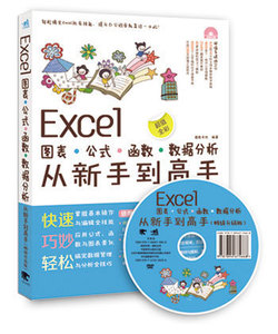 excel书籍 Excel 图表公式 函数 数据分析从新手到高手你早该这么玩Excel excel2013办公软件应用大全 函数财务excel表格制作