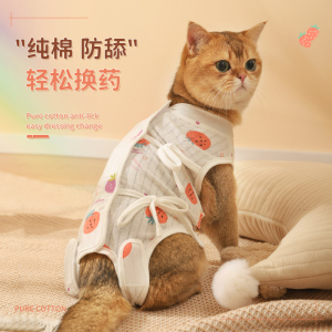 猫咪绝育服母猫手术服衣服透气戒奶服断奶服公猫舔术后宠物猫猫